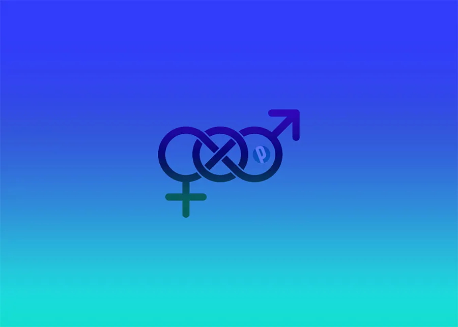 Understanding Portuguese Word Gender