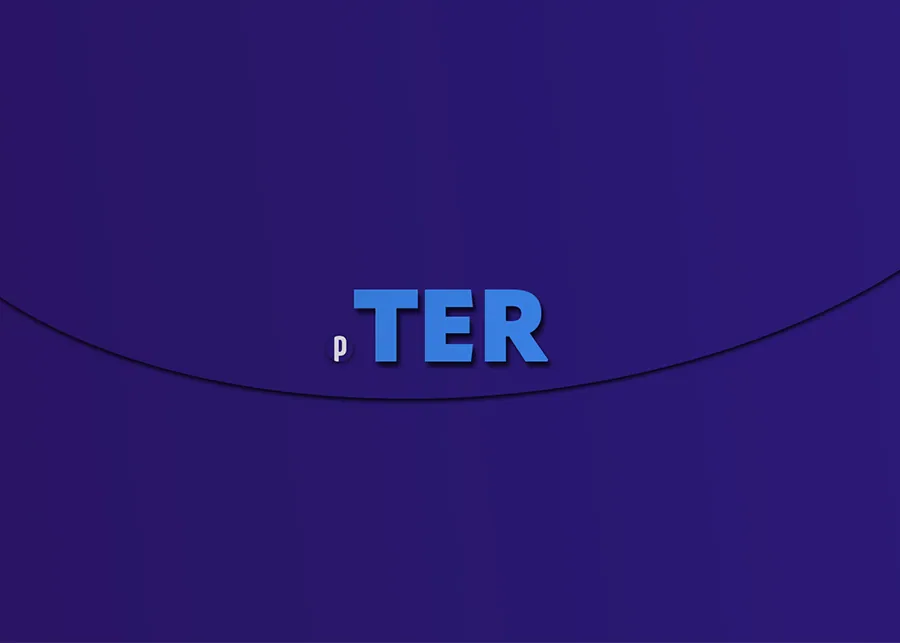 Portuguese Verb Ter - Portuguesepedia